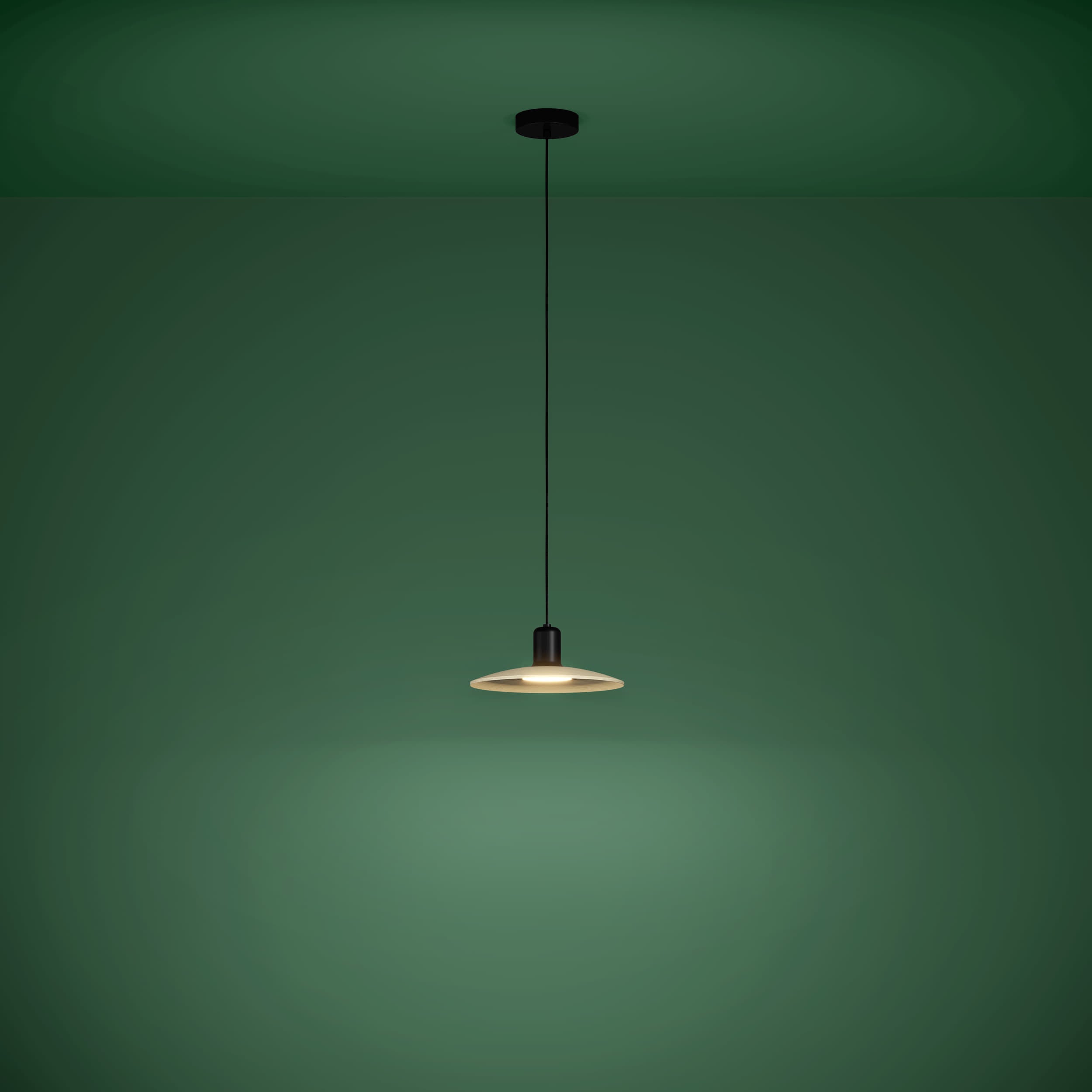 39911 Ambient